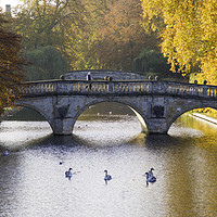 Buy canvas prints of Clare College Bridge, Cambridge by Andrew Sharpe