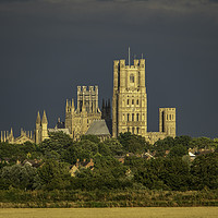 Buy canvas prints of Ely Cathedral in golden hour light by Andrew Sharpe