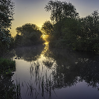Buy canvas prints of Grantchester Meadows, dawn, 10th May 2017 by Andrew Sharpe