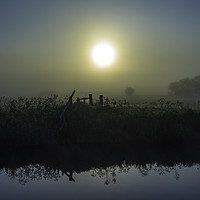 Buy canvas prints of Grantchester Meadows, dawn, 10th May 2017 by Andrew Sharpe