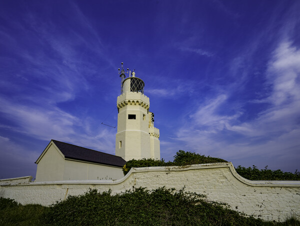 St Catherine's Lighthouse, Isle of Wight Picture Board by Andrew Sharpe