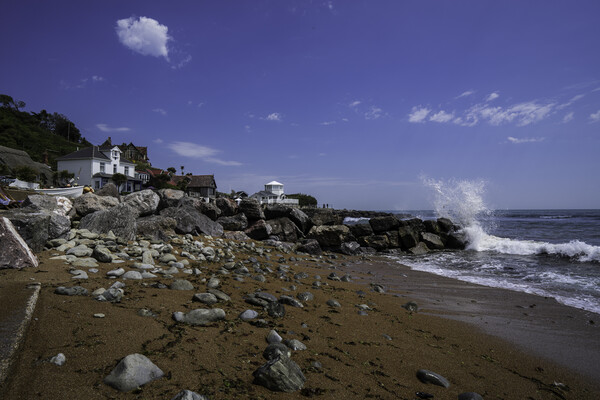 Steephill Cove, Isle of Wight Picture Board by Andrew Sharpe