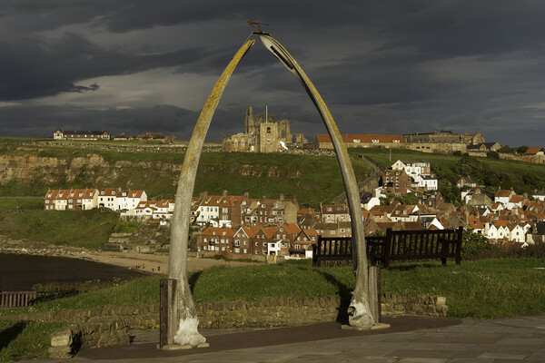 The whalebone arch, Whitby Picture Board by Andrew Sharpe