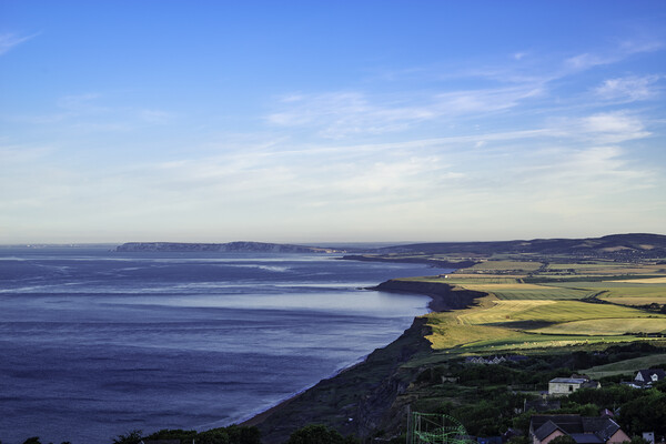 West Wight coastline from St Catherine's Point to The Needles Picture Board by Andrew Sharpe