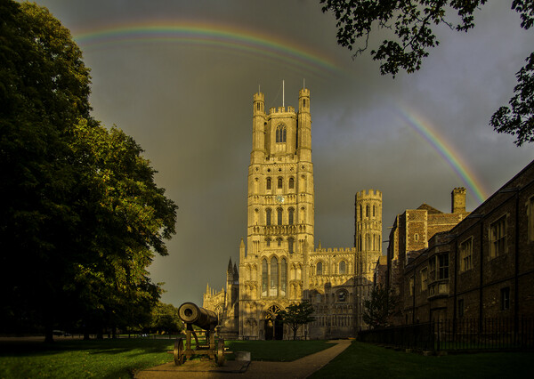 Ely Cathedral, Cambridgeshire Picture Board by Andrew Sharpe