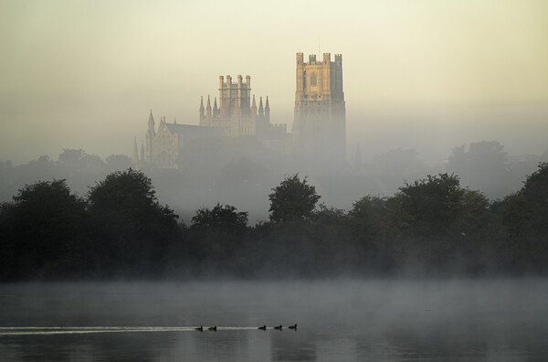 Ely Cathedral, from Roswell Lakes Picture Board by Andrew Sharpe