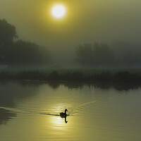 Buy canvas prints of Misty fenland morning on the River Ouse, Ely, Cambridgeshire by Andrew Sharpe