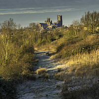 Buy canvas prints of Ely Cathedral from Roswell Lakes, Cambridgeshrie by Andrew Sharpe