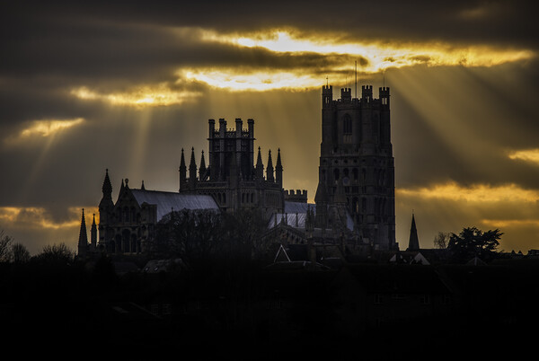 Ely Cathedral, from Roswell Pits, Cambridgeshire Picture Board by Andrew Sharpe