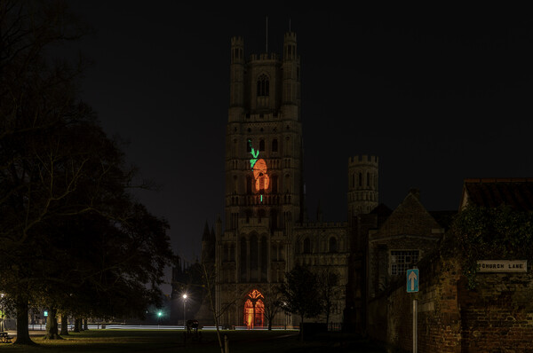 Giant Poppy projected onto Ely Cathedral for Remembrance Sunday, 8th November 2020 Picture Board by Andrew Sharpe