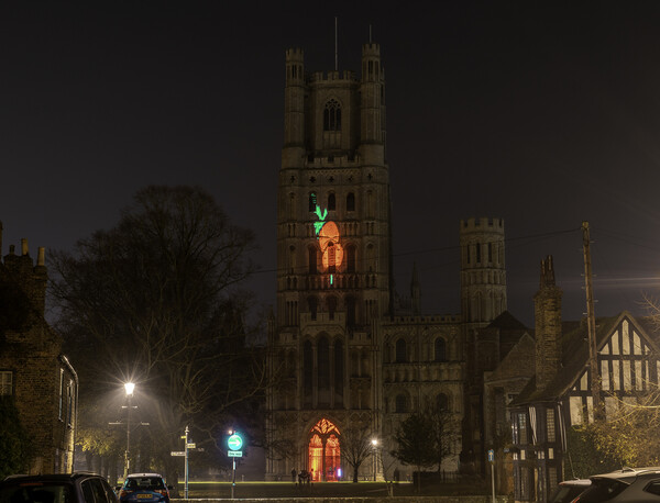 Giant Poppy projected onto Ely Cathedral for Remembrance Sunday, 8th November 2020 Picture Board by Andrew Sharpe