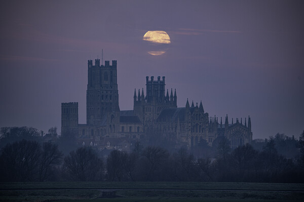 Moonset behind Ely Cathedral, 30th December 2020 Picture Board by Andrew Sharpe