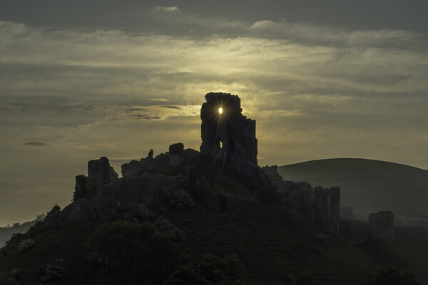 Corfe Castle at dawn Picture Board by Andrew Sharpe