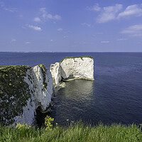 Buy canvas prints of Old Harry Rocks, Dorset coast by Andrew Sharpe