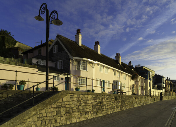 Madeira Cottage and Little Madeira, Marine Parade, Lyme Regis Picture Board by Andrew Sharpe