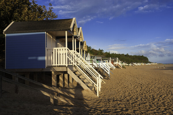Beach-huts on Wells-next-the-Sea beach, North Norfolk coast Picture Board by Andrew Sharpe
