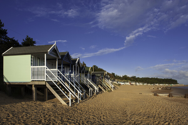 Beach-huts on Wells-next-the-Sea beach, North Norfolk coast Picture Board by Andrew Sharpe