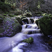 Buy canvas prints of Wyming Brook, Peak District National Park by Andrew Sharpe