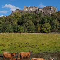 Buy canvas prints of Coo's Under the Castle by Eric Said