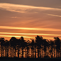 Buy canvas prints of Sunrise over Shropshire  by James Sedgemore