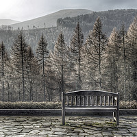 Buy canvas prints of Bench seat in Tollymore Forest by Gary Cowan