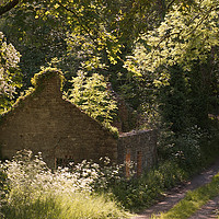 Buy canvas prints of Overgrown Cottage by Gary Cowan