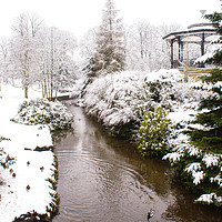 Buy canvas prints of Winter wonderland by PAUL OLBISON