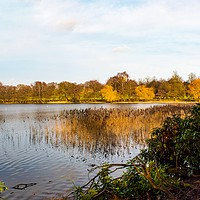 Buy canvas prints of Derbyshire lake by PAUL OLBISON