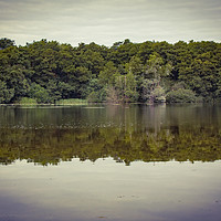 Buy canvas prints of Reflections by PAUL OLBISON