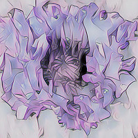 Buy canvas prints of Poppy in Pastel Lilac by Julia Watkins