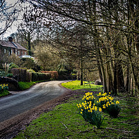 Buy canvas prints of Little Bollington in Spring by chris east