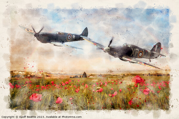 Flying over poppy field Picture Board by Geoff Beattie