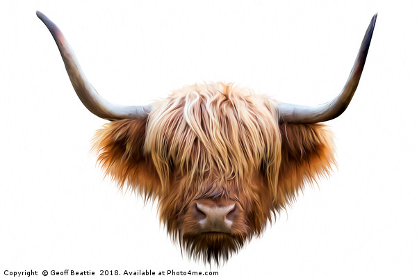 Highland cow cattle abstract digital art original Picture Board by Geoff Beattie
