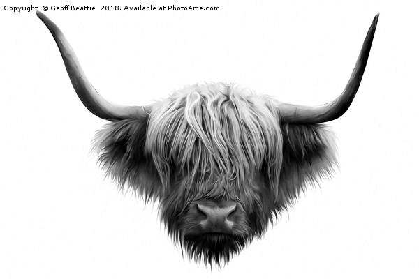 Highland cow cattle black and white abstract art Picture Board by Geoff Beattie