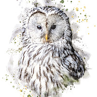 Buy canvas prints of Ural Owl  by Geoff Beattie