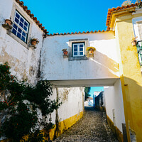 Buy canvas prints of Narrow cobbled streets and traditionally painted houses in Obidos, Portugal. by Alexandre Rotenberg