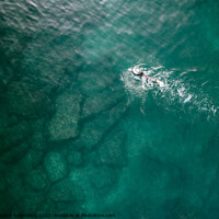 Buy canvas prints of Top down aerial view of unidentifiable male open water swimming in turquoise water. Captured in Cascais, Portugal by Alexandre Rotenberg