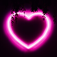 Buy canvas prints of Neon pink heart on black wall by Alexandre Rotenberg