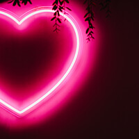 Buy canvas prints of Neon pink heart on black wall by Alexandre Rotenberg