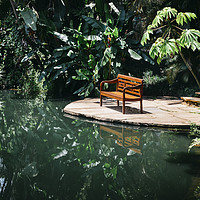 Buy canvas prints of Bench in tropical forest by Alexandre Rotenberg