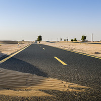 Buy canvas prints of Al Qudra cycling track, UAE by Alexandre Rotenberg