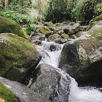 Buy canvas prints of Tropical Stream  by Alexandre Rotenberg