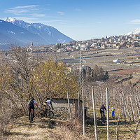 Buy canvas prints of Mountain bikers in Valtellina, Italy  by Alexandre Rotenberg