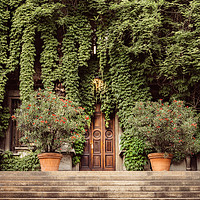 Buy canvas prints of Foliage covered building by Alexandre Rotenberg