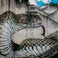 Buy canvas prints of Snake or cobra street art by Alexandre Rotenberg