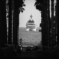 Buy canvas prints of Palm tree and luxury yacht by Alexandre Rotenberg