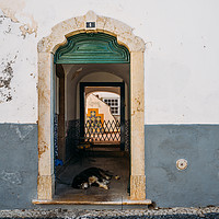Buy canvas prints of Lazy dog at rustic doorway in Faro, Portugal by Alexandre Rotenberg