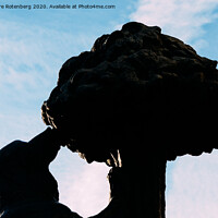 Buy canvas prints of Silhouette statue of the Bear and the Strawberry Tree in Madrid, Spain by Alexandre Rotenberg
