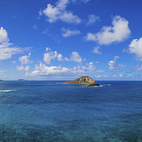 Buy canvas prints of View from Makapu'u  by Kelly Bailey