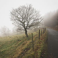 Buy canvas prints of Through the fog in Abertysswg by Ramas King
